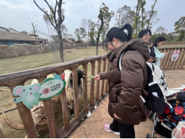 20260307“三月拾春色 巾帼绽芳华”女神节活动309.png